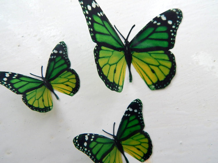 Natural Green butterflies