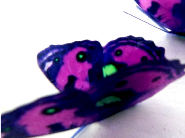6 purple, lime green spotted 3D butterflies flying wall