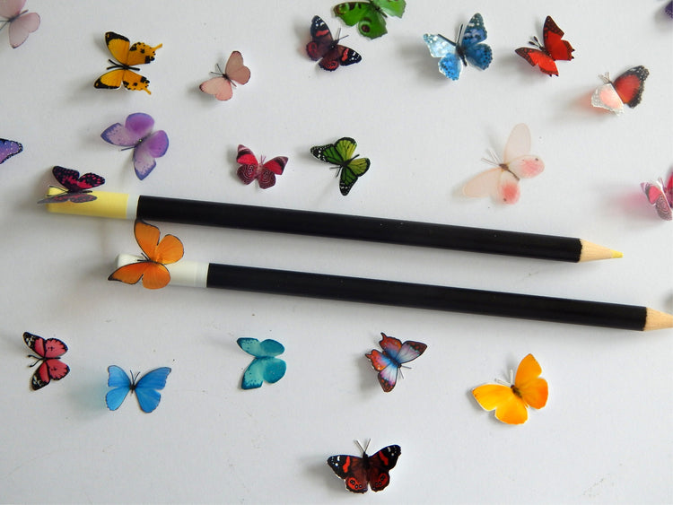 miniature butterflies for crafts