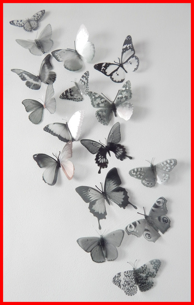 Monochrome natural butterflies stickers
