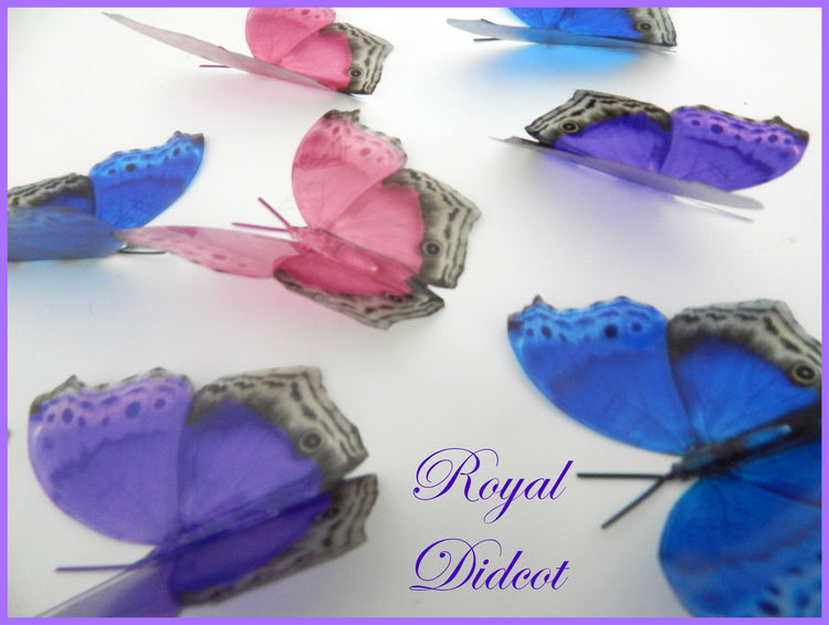 pretty bedroom wall decor butterflies