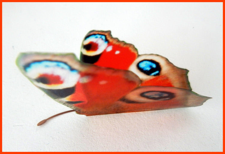 reproduction butterfly stickers decor