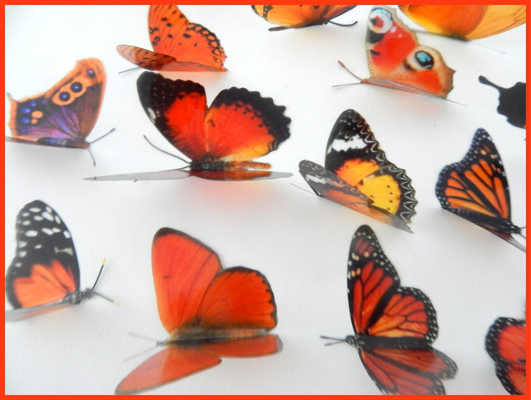 rustic decor look orange butterflies