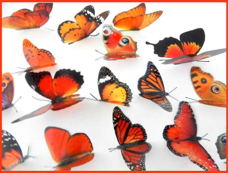 orange wall stickers