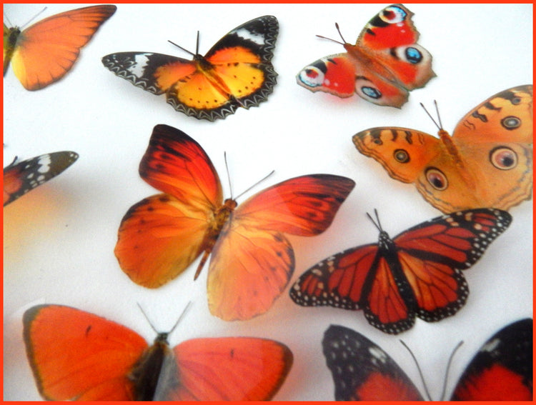 wedding artificial orange butterflies