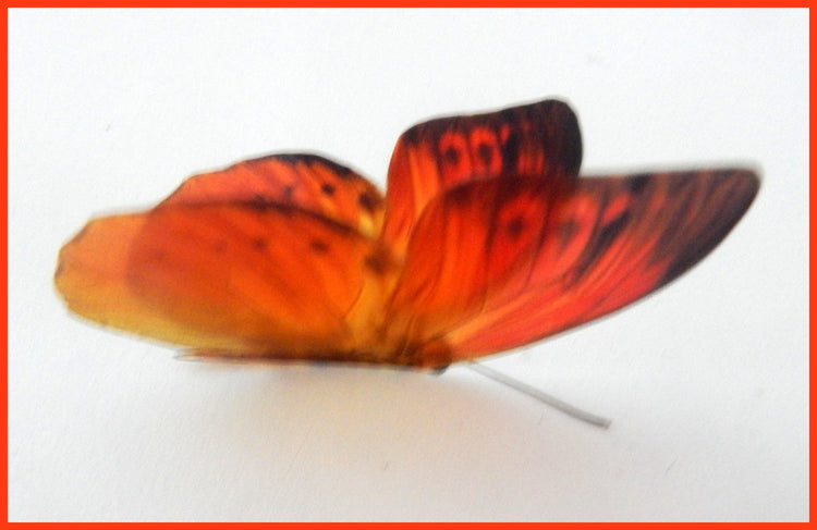 rustic natural decor artificial orange butterflies