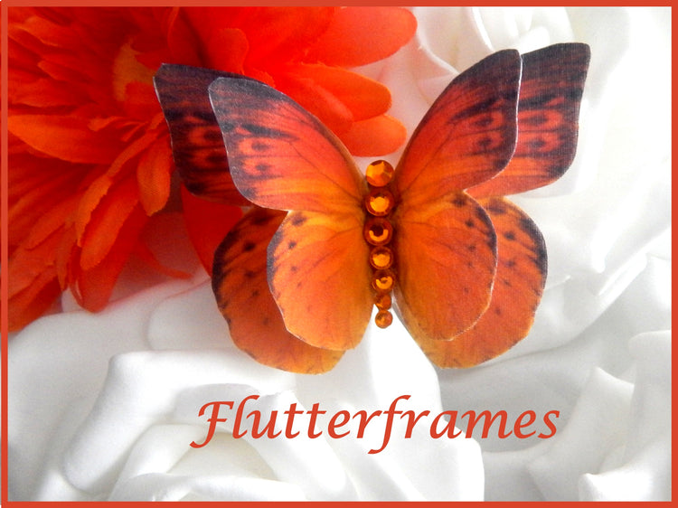 beautiful silk orange butterfly