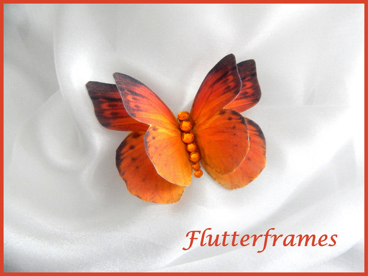 orange butterfly