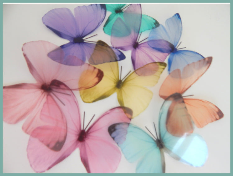 3d wall sticker butterflies