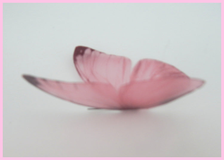 Set of 9 Pastel coloured butterflies, 3d wall stickers,great for girl's bedroom,bathroom,lounge,kitchen,tiles,conservatory,wall decor