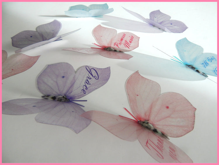 Personalised Pastel 3d wall sticker butterflies