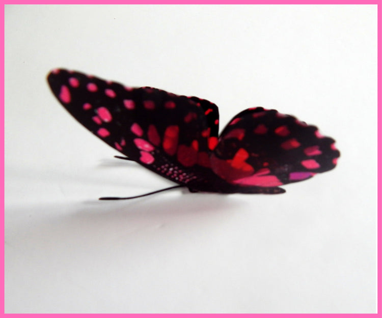 Pink collection of natural butterflies, 3d butterflies wall decor