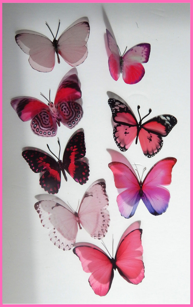 Pink collection of natural butterflies, 3d butterflies wall decor