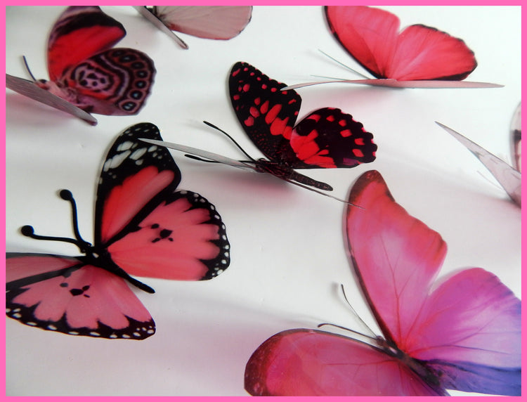 Pink collection of natural butterflies, 3d butterflies wall decor