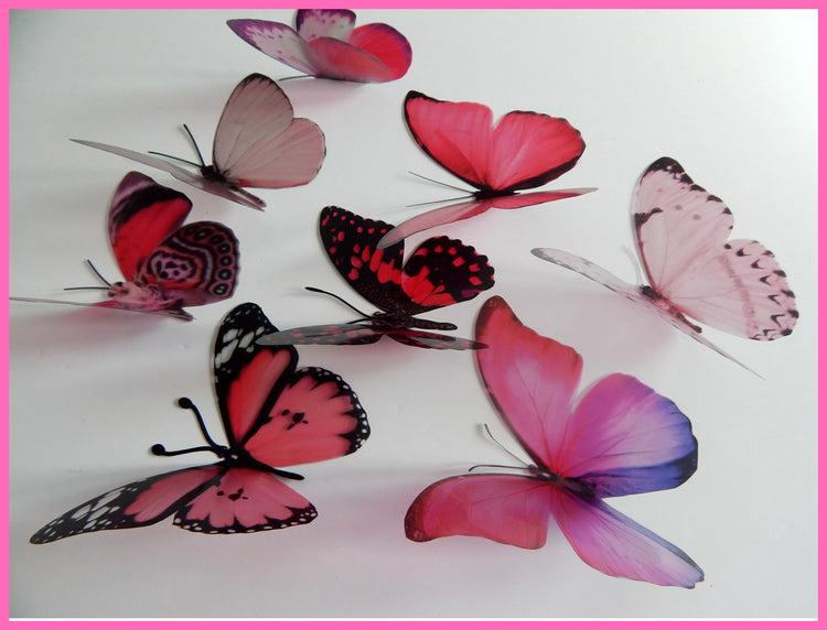 Collection of pink butterflies, 3d butterflies, wall decor, bespoke butterfly wall stickers ,natural critters, conservatory,lounge