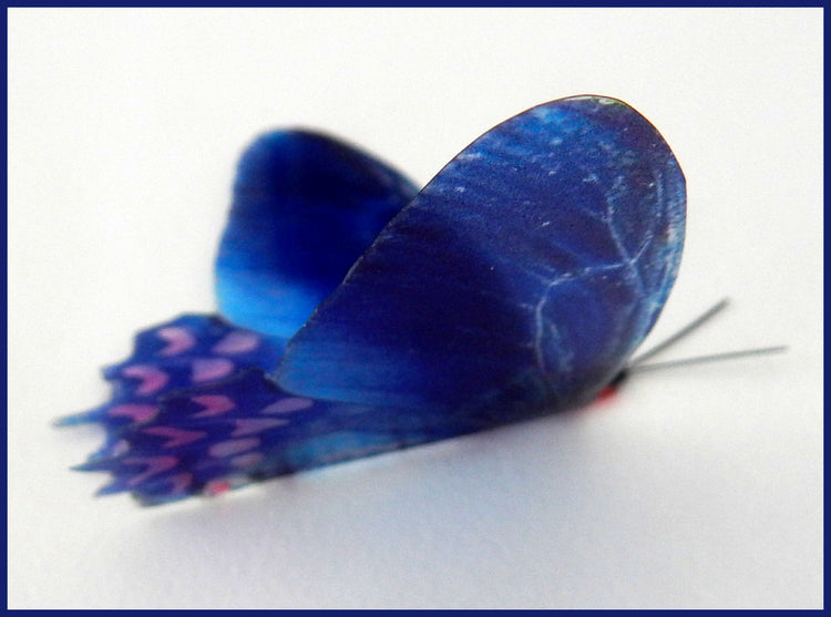 12 Pink and Blue natural pretty butterflies. 3d butterfly wall stickers, great for decoration at home, weddings,parties, bedroom,conservatories