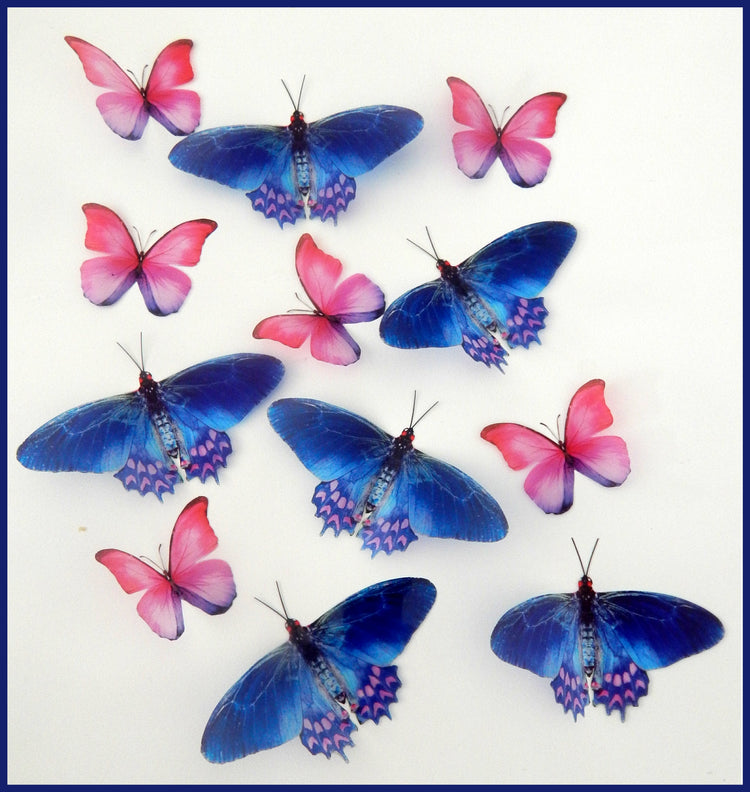 12 Pink and Blue natural pretty butterflies. 3d butterfly wall stickers, great for decoration at home, weddings,parties, bedroom,conservatories