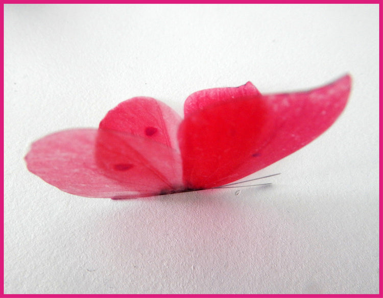 Pink and purple natural pretty butterflies.3d butterfly wall stickers, great for decoration at home,weddings,parties, bedroom,conservatories