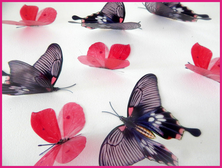pink and purple natural butterflies
