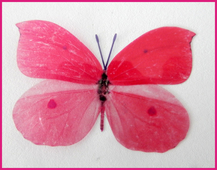 Pink and purple natural pretty butterflies.3d butterfly wall stickers, great for decoration at home,weddings,parties, bedroom,conservatories