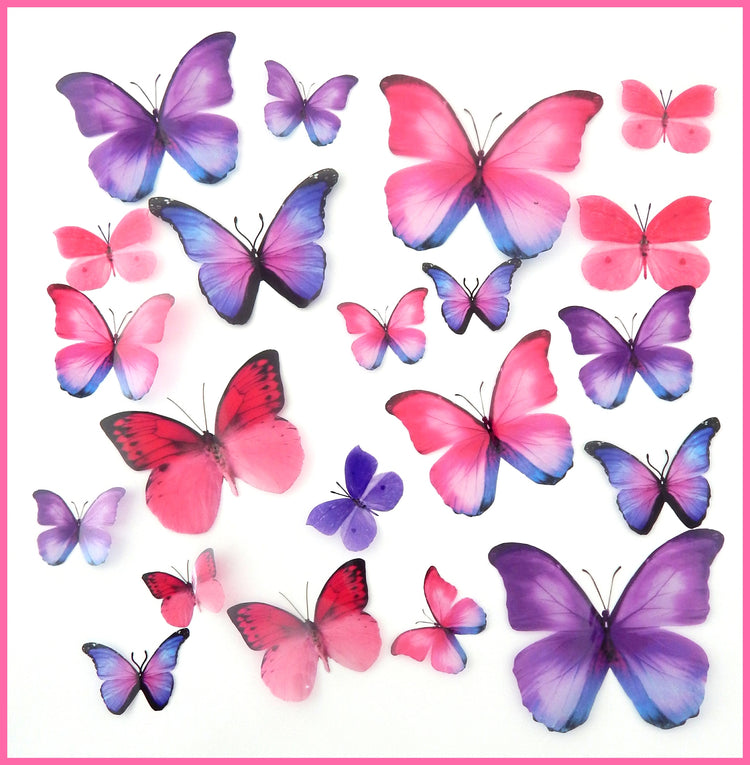 Butterfly display