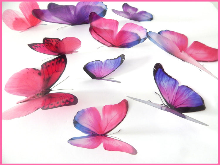pink and purple Butterfly bedroom wedding by Flutterframes