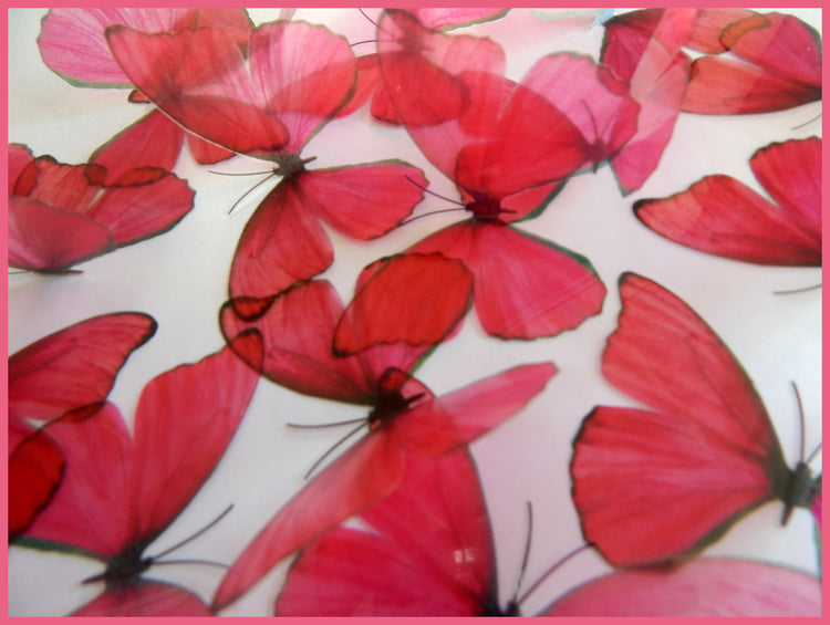 Beautiful 3D pink Butterflies, set of 18, 7cm wide. Embellishments, card making,wall decor,decorative butterflies,wedding decor,conservatory