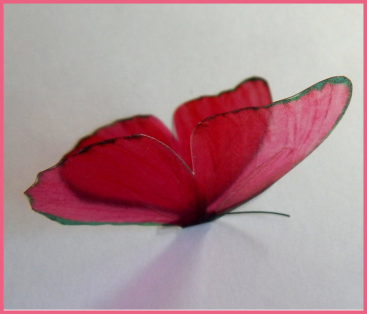 Beautiful 3D pink Butterflies, set of 18, 7cm wide. Embellishments, card making,wall decor,decorative butterflies,wedding decor,conservatory