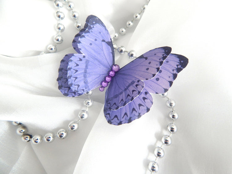 very pretty lilac butterfly