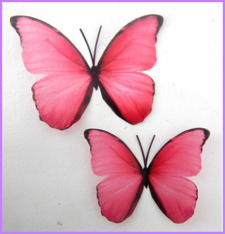 pink butterflies