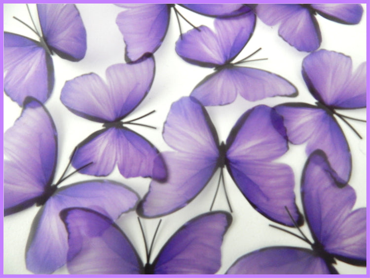 Purple, pink and blue butterflies,embellishments, wall decor wall art stickers, pretty butterflies for home