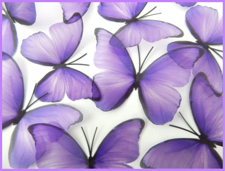 Purple, pink and blue butterflies,embellishments, wall decor wall art stickers, pretty butterflies for home