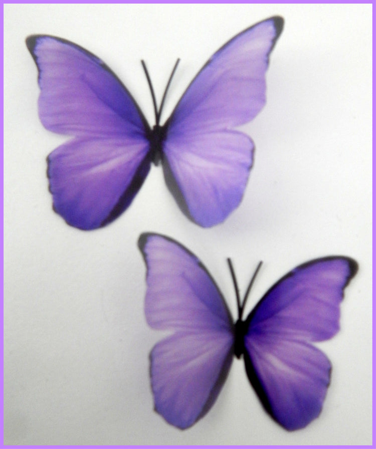 purple butterflies