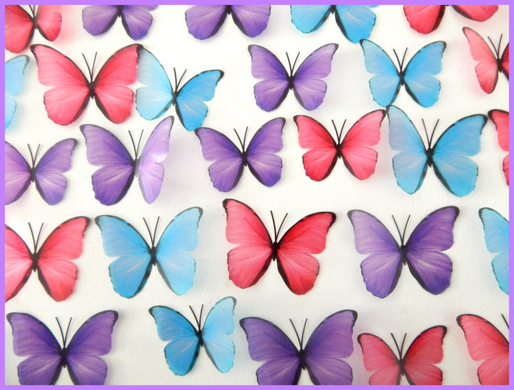 purple pink and blue butterflies embellishments