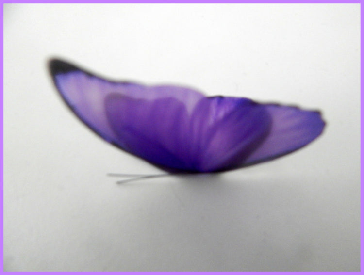 Purple, pink and blue butterflies,embellishments, wall decor wall art stickers, pretty butterflies for home