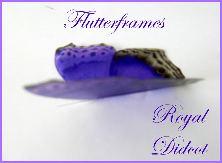 purple bedroom accessories