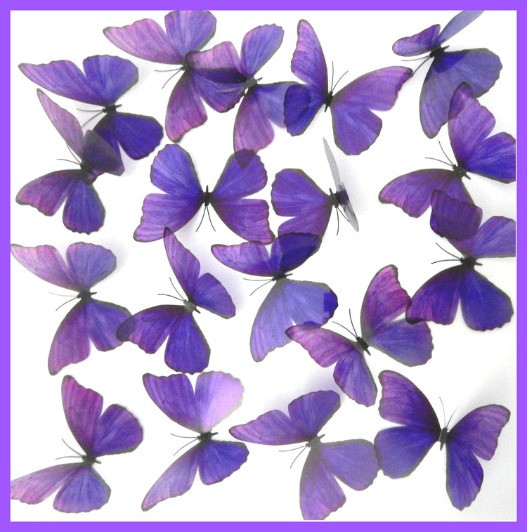 3d wallpaper butterflies decor