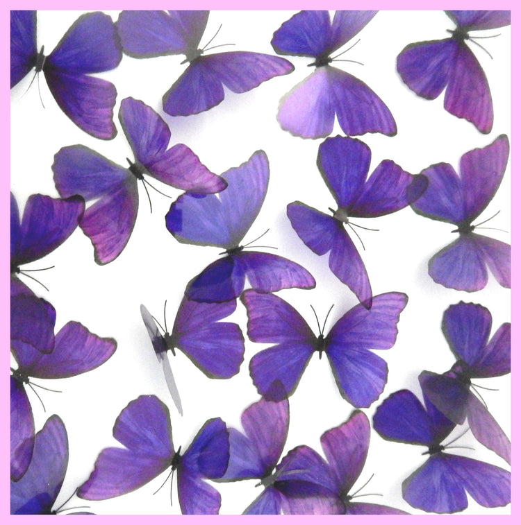 3d dining room wall butterflies decor