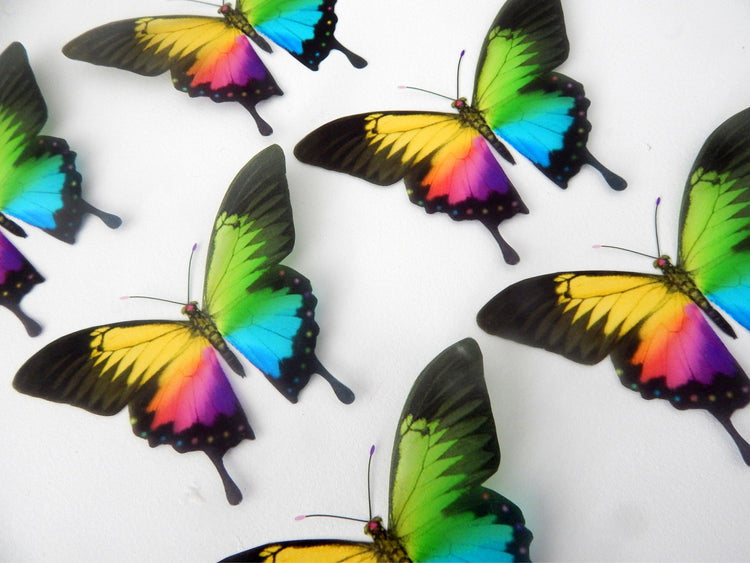 rainbow butterfly decor