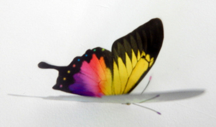 Gay lesbian home decor