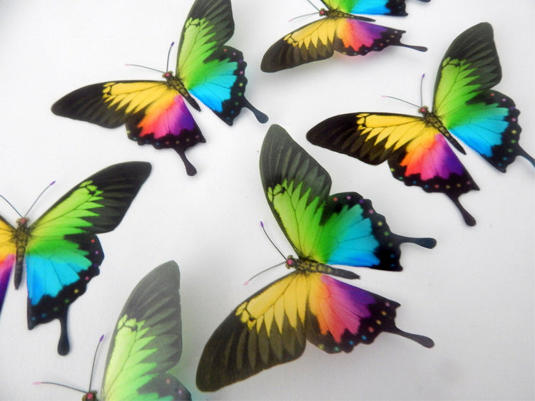 Gay lesbian home decor butterfly 3d wall stickers