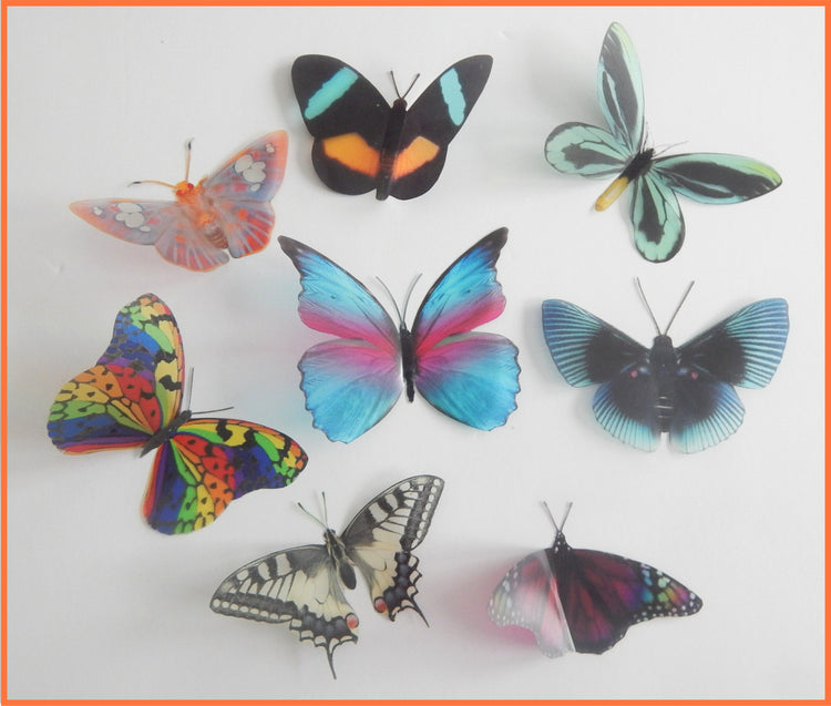 Rare natural butterflies stickers