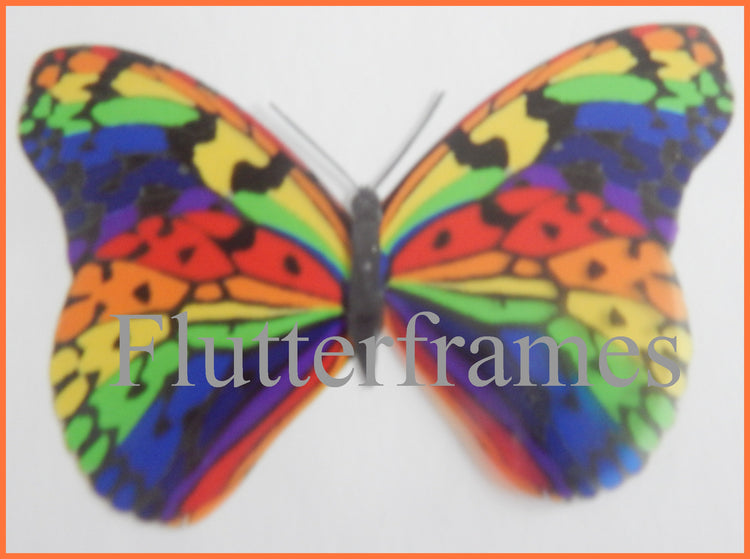 Rare collection of butterflies, 8 natural looking butterfly stickers
