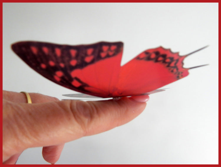 3d butterflies the Red collection, butterfly decor for the wall,conservatory, home,bedroom, lounge,window decorations, vase embellishments
