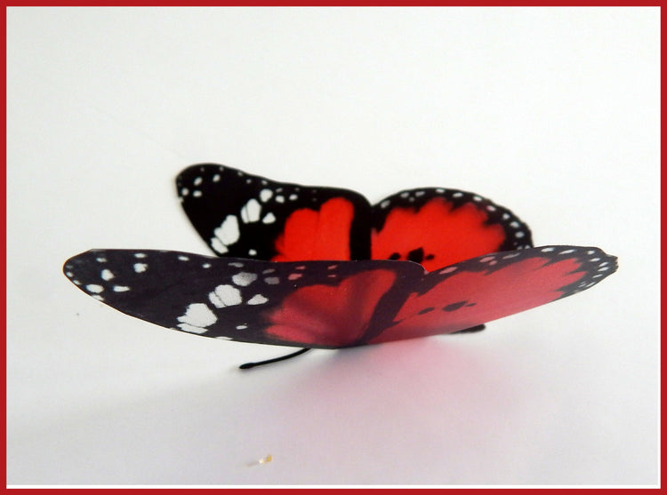 3d butterflies the Red collection, butterfly decor for the wall,conservatory, home,bedroom, lounge,window decorations,vase, red butterflies