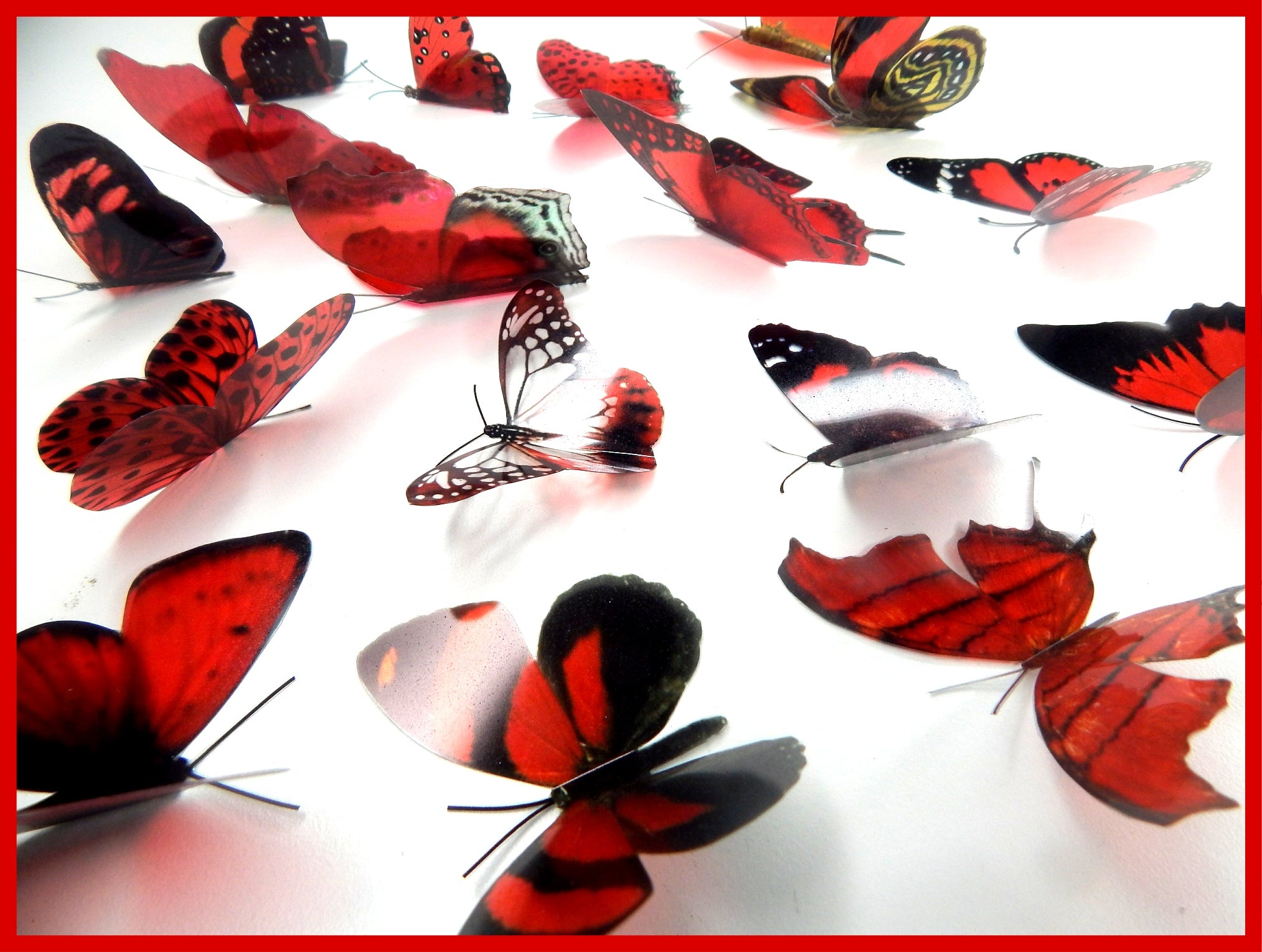 Set of 17 3D red Butterflies, 7cm wide. Embellishments, card making, w