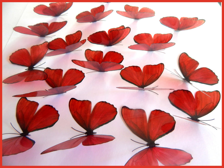red butterfly conservatory stickers