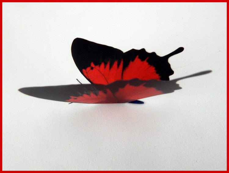 natural red butterflies Escape to the chateau