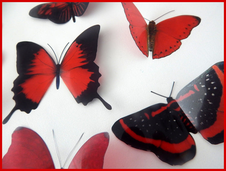 3d butterflies the Red collection 2, butterfly decor for the wall,conservatory, home,bedroom, lounge,window decorations, vase embellishments