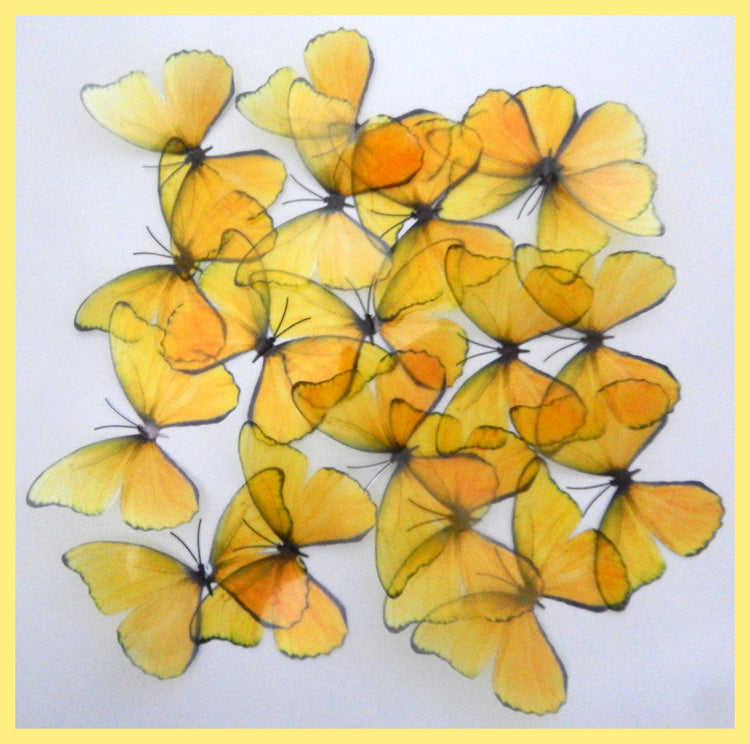 make a boring wall attractive